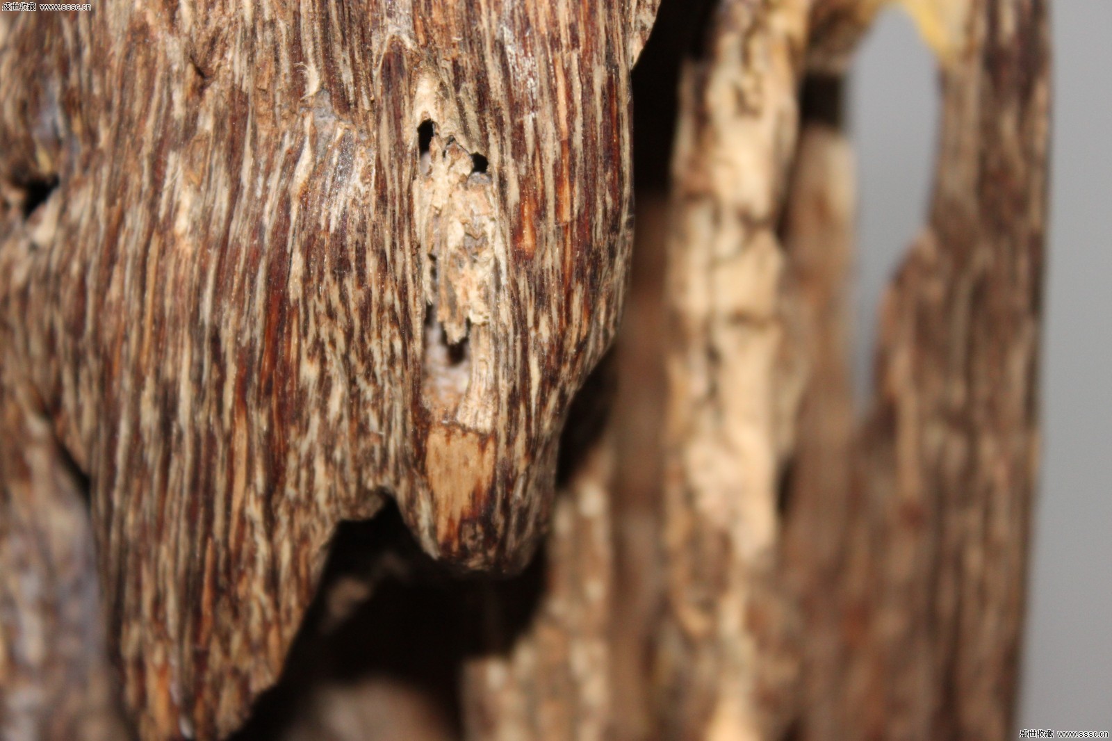 星空体育APP网站