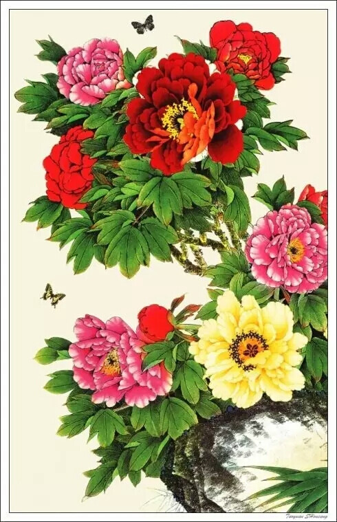 星空体育app下载