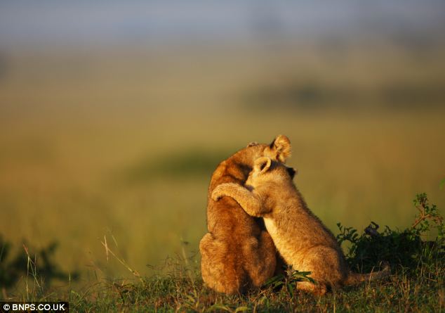 星空体育app下载