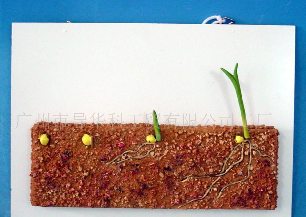 星空体育APP网站