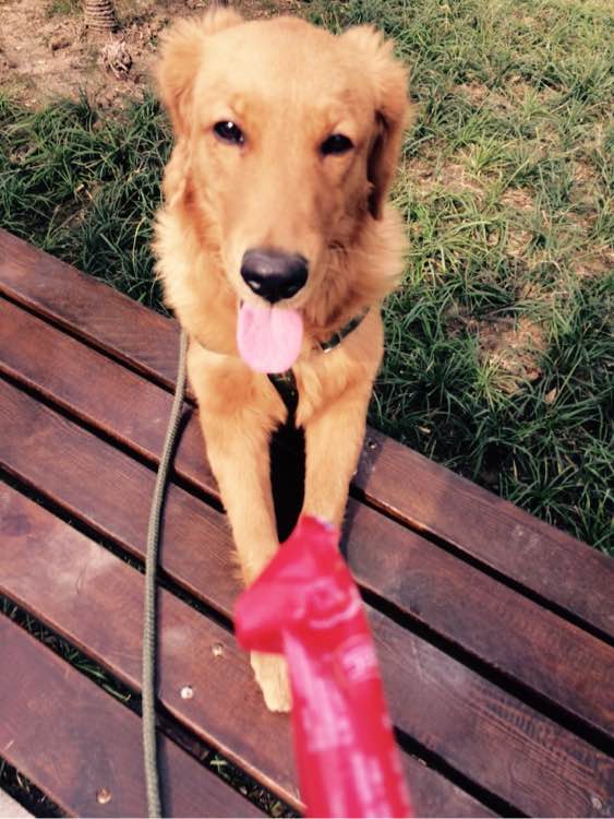 星空体育app下载