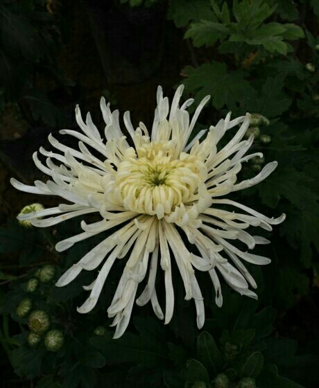 星空体育APP网站