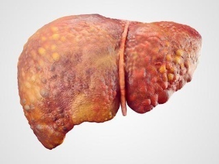 星空体育APP网站