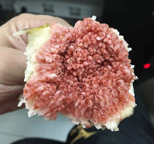 星空体育APP网站