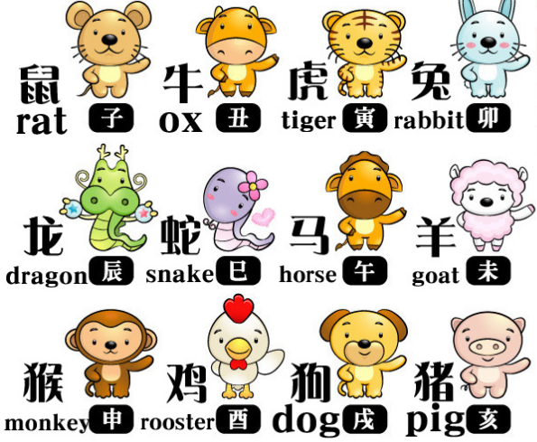 星空体育APP网站