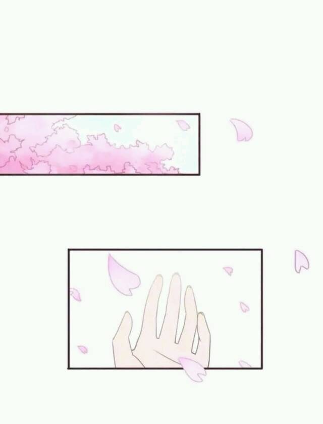 星空体育APP网站