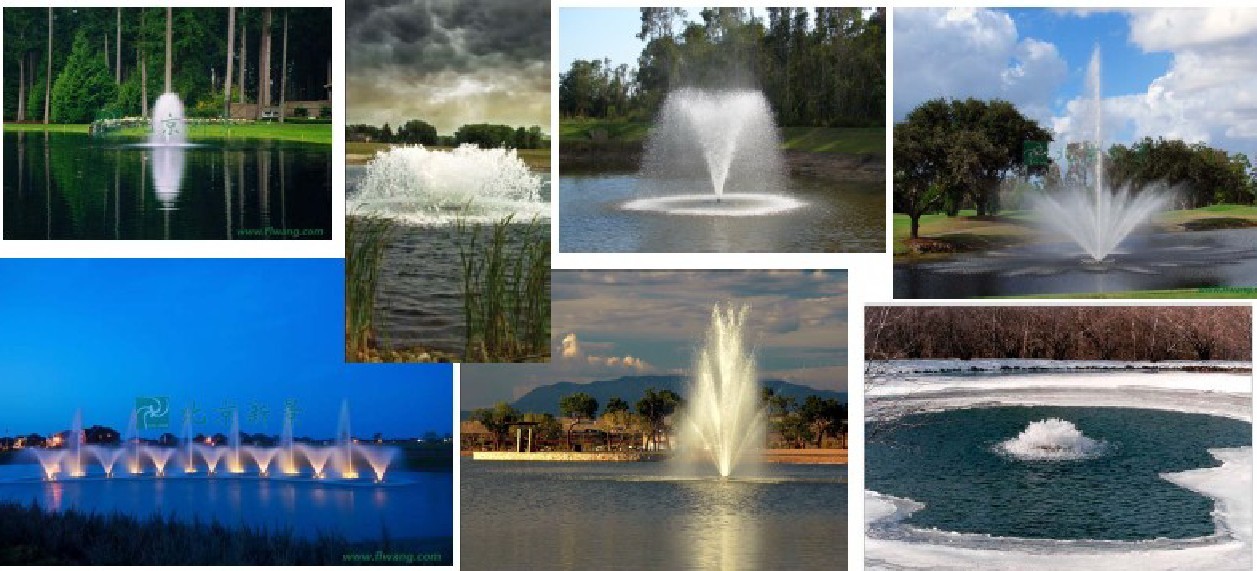 星空体育APP网站