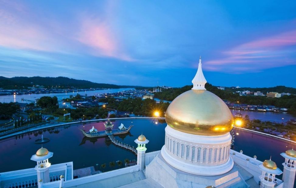 星空体育APP网站