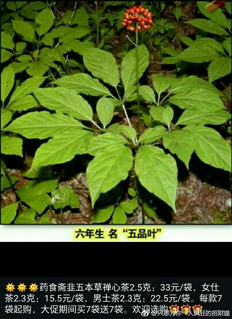 星空体育app下载