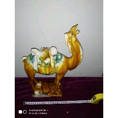 星空体育app下载