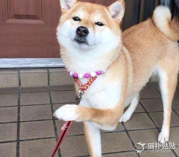 星空体育app下载